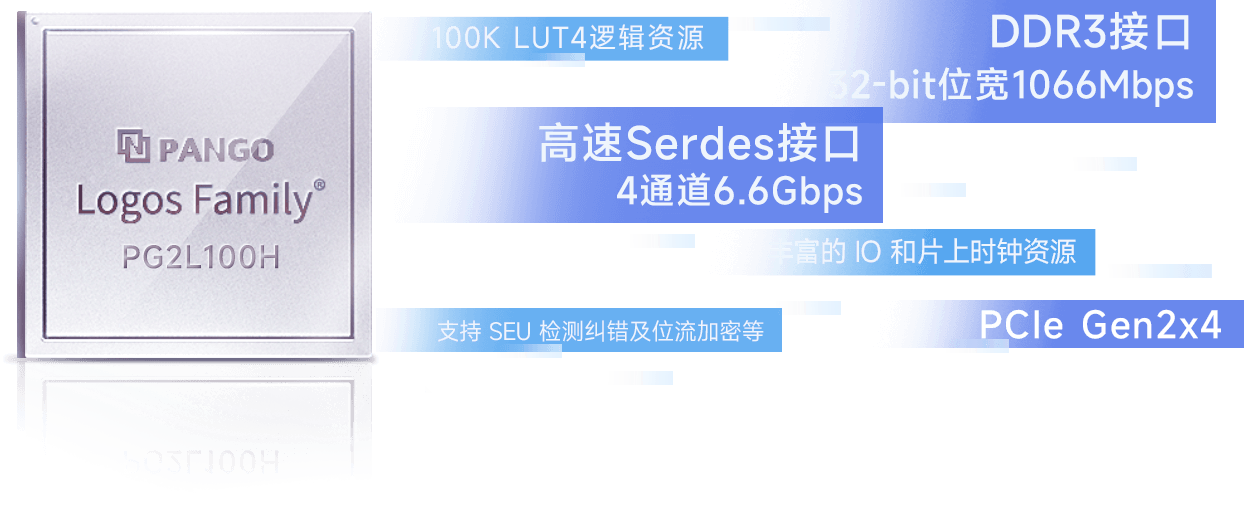 PG2L100H处理器